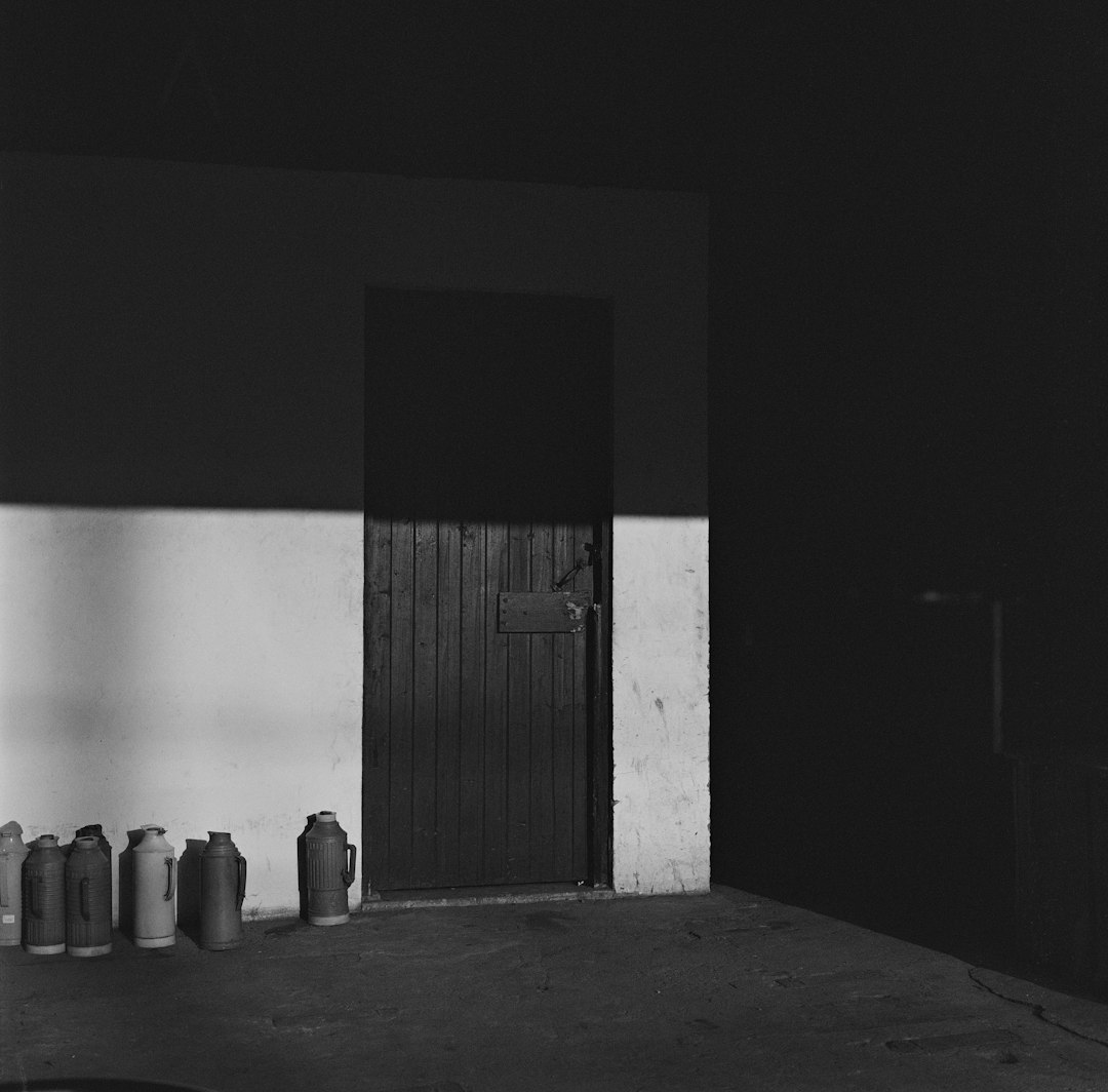 Bilyalı Rulman 6205